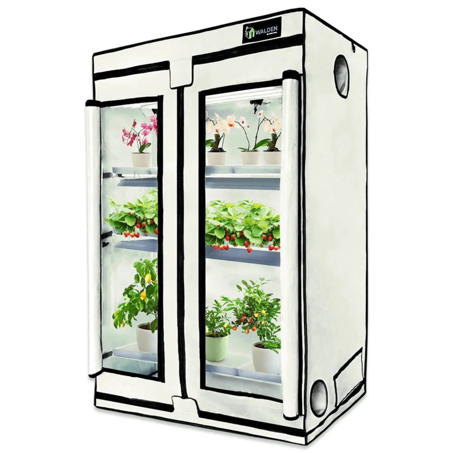 Active Grow Flowers & Fruits High Intensity 2' x 4' 3-Tier LED Walden White Grow Tent Kit