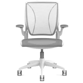 Humanscale Diffirient World Chair