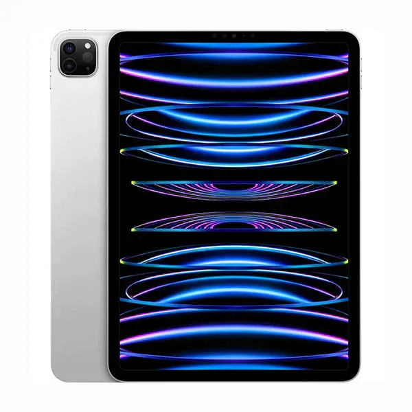 iPad Pro 12.9 Inch Display 256 GB (2022)