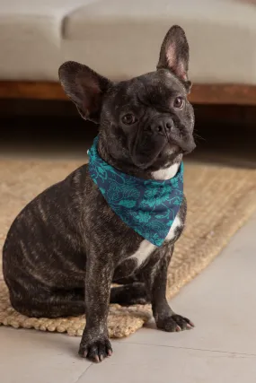 Sloane Pet Bandana